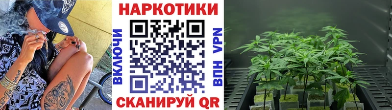 Наркота Свирск ГАШ  АМФЕТАМИН  Меф  Бошки Шишки  Галлюциногенные грибы  А ПВП  mega ссылки  Кокаин 
