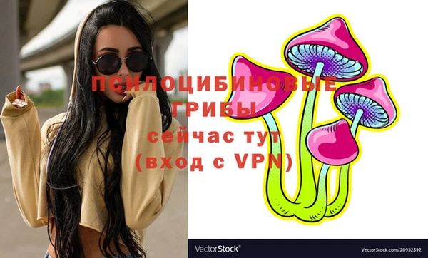 mdpv Баксан