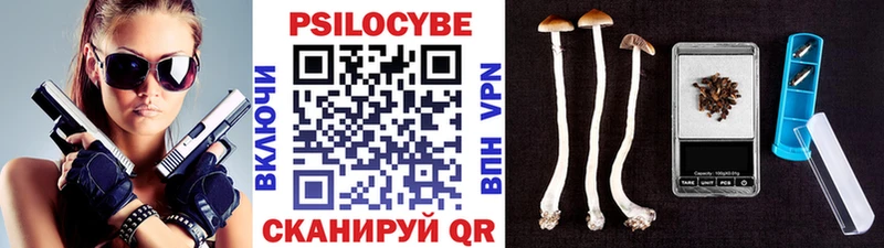 Галлюциногенные грибы GOLDEN TEACHER  закладка  Свирск 